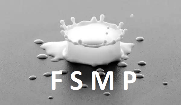 FSMP-1