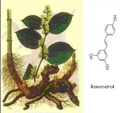 反式白藜芦醇