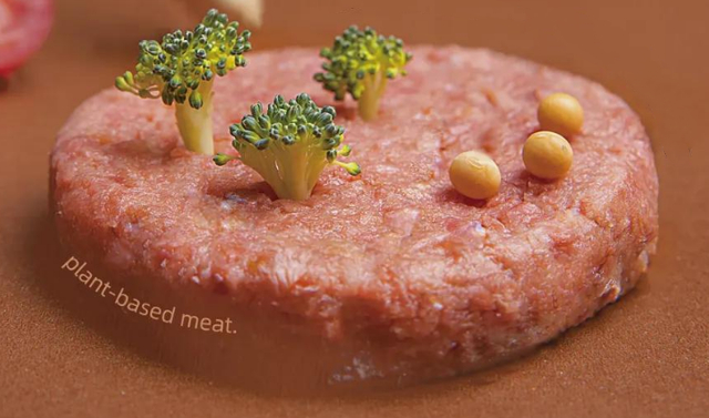 Plant based meat