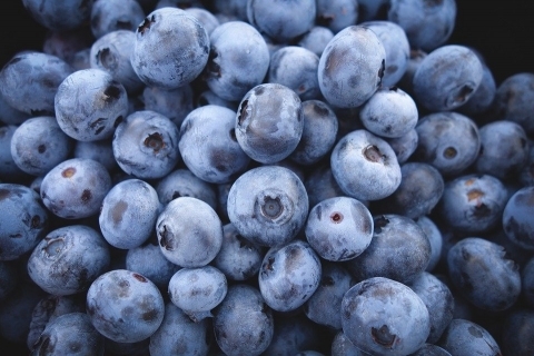 blueberries-690072_960_720_0_1_2_0.jpg