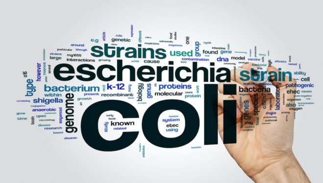 Ecoli1200x680-660x374.jpg